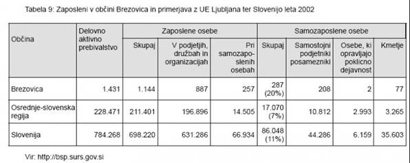 Tabela 9: Zaposleni v občini Brezovica in primerjava z UE Ljubljana ter Slovenijo leta 2002